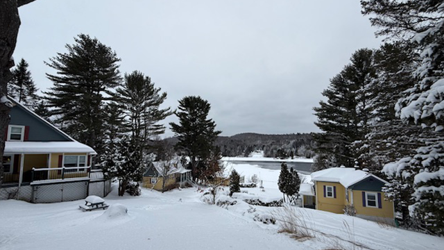 crocollines hiver